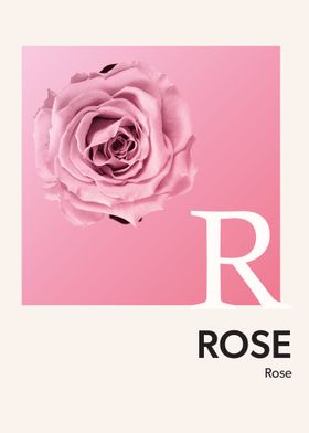 Color Alphabet Rose R