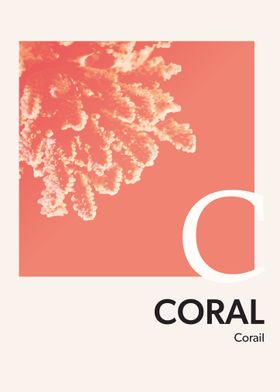 Color Alphabet Coral C