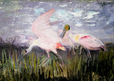 Roseate Spoonbills