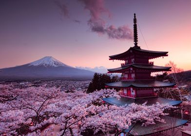 Mount Fuji Japan Travel
