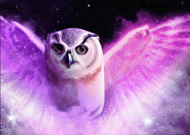 Pink Owl