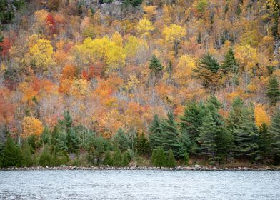 Colors in Acadia