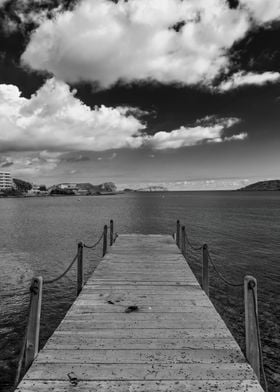 Black and white photo sea