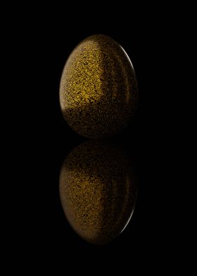 Golden Egg in a Dark Room