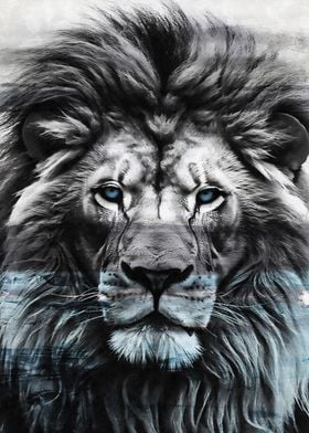 Abstract Lion  blue eyes