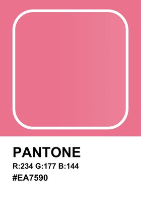 Color Pantone Bubblegum