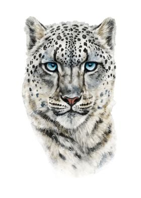 Snow Leopard Watercolor