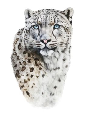 Snow Leopard Watercolor