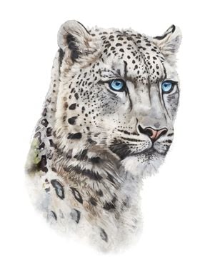 Snow Leopard Watercolor