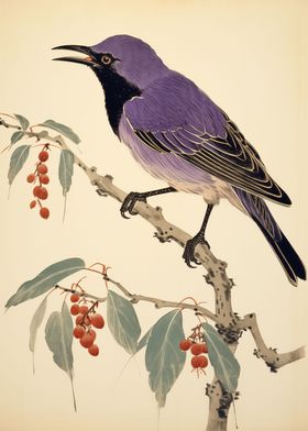 Honeycreeper