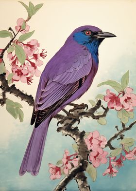 Hawaii Honeycreeper