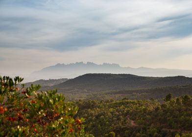 Misty autumn Montserrat