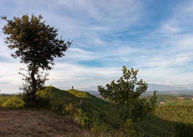 Castellnou tower 2