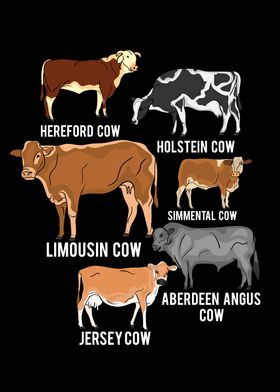 Cow Breeds Hereford Cow