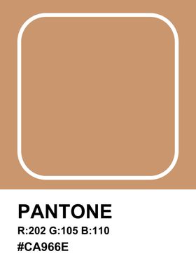 Cappuccino Pantone Color