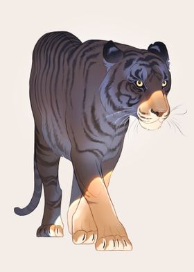 Shadow Tiger