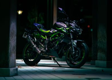 Kawasaki Z 125 Motorcycle