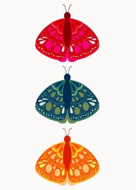 Color butterfly 
