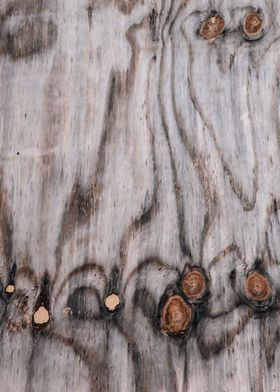 wood textured abstract