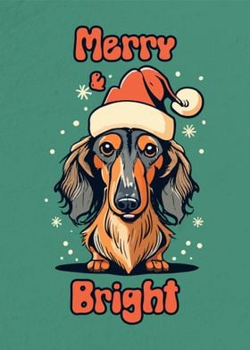 Long Haired Dachshund Xmas