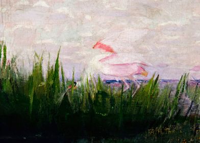 Roseate Spoonbill