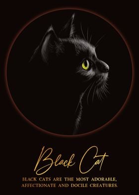 Black cat