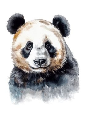 Panda Bear Watercolor Art