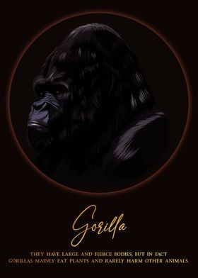 Gorilla