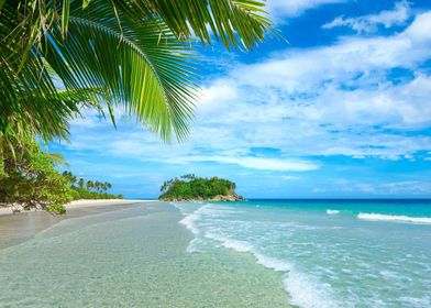 Tropical Beach Ocean Palms