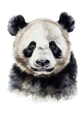 Panda Bear Watercolor Art