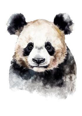 Panda Bear Watercolor Art