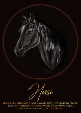 Horse