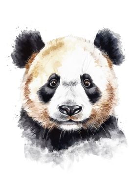 Panda Bear Watercolor Art