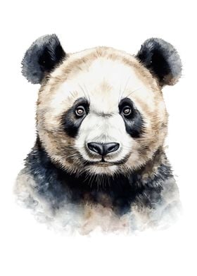 Panda Bear Watercolor Art