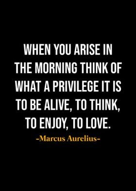 Marcus Aurelius Quotes 