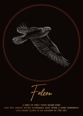 Falcon