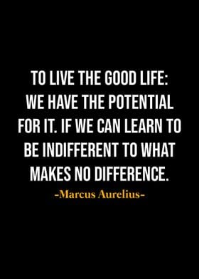 Marcus Aurelius Quotes 