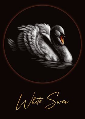 White Swan