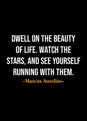 Marcus Aurelius Quotes 