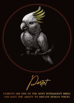 Parrot