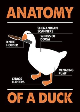 Anatomy Of A Goose Vintage