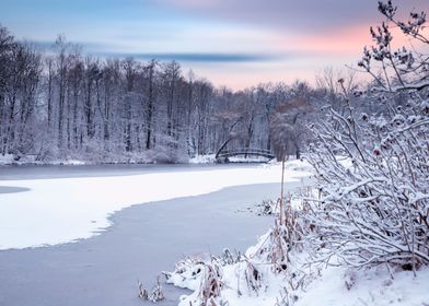 Winter lake in frozen park