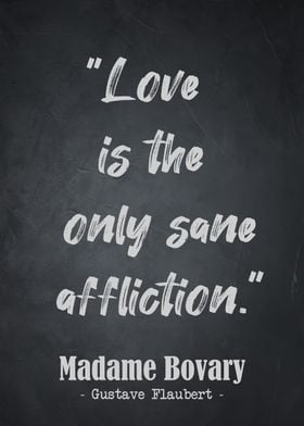 Madame Bovary Quote