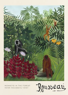 Monkeys in the Forest