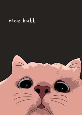 Cat saying nice butt