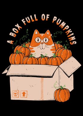 A Box Full of Pumpkins