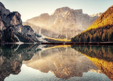 Autumn mountain forest