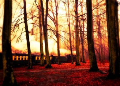 Old train in the forest
