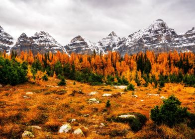 Ten peaks valley autumn 