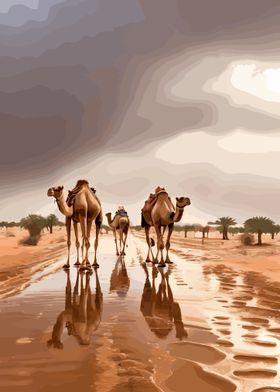 Camels on a rainy day